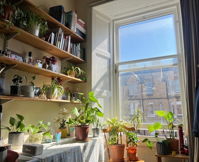 Spacious Room in Quiet Marchmont Flatshare Main Photo