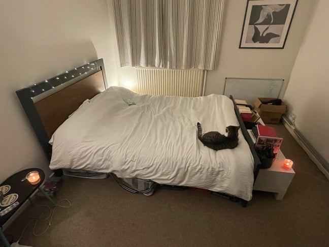 Spacious room in friendly Camberwell flat Main Photo