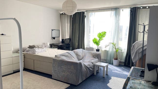 One spacious double bedroom in East Finchley Main Photo