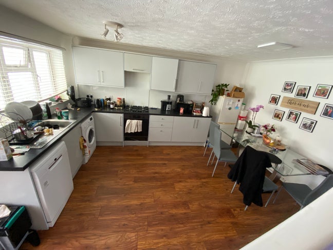 Modern house looking for veggie tenant Main Photo