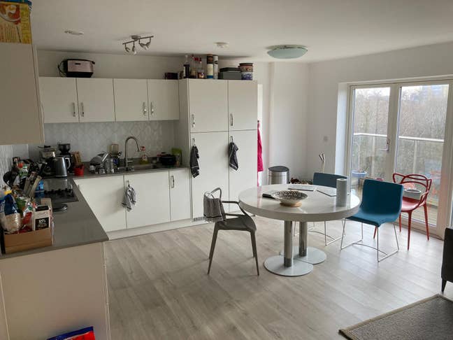 Lovely flat - room available  Main Photo