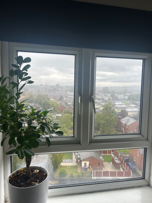 Double room  Main Photo