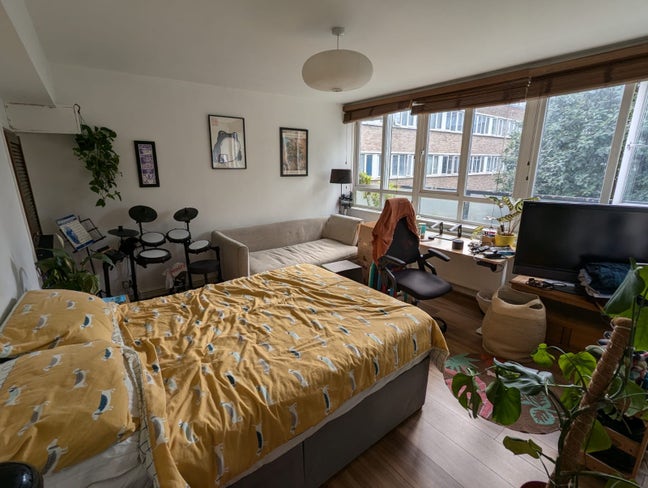 Room available in our lovely flat! Main Photo