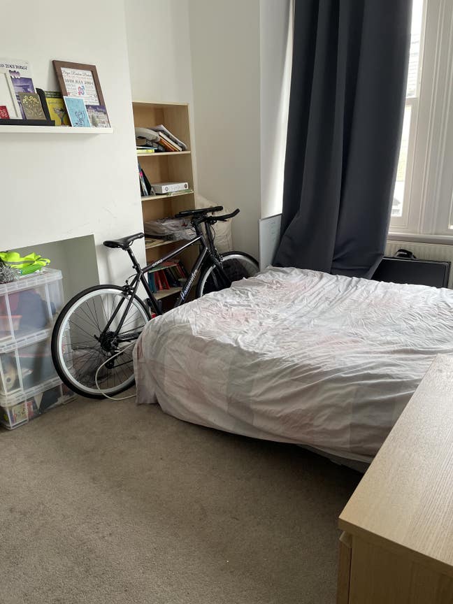Looking for easy going, cat loving lodger Main Photo