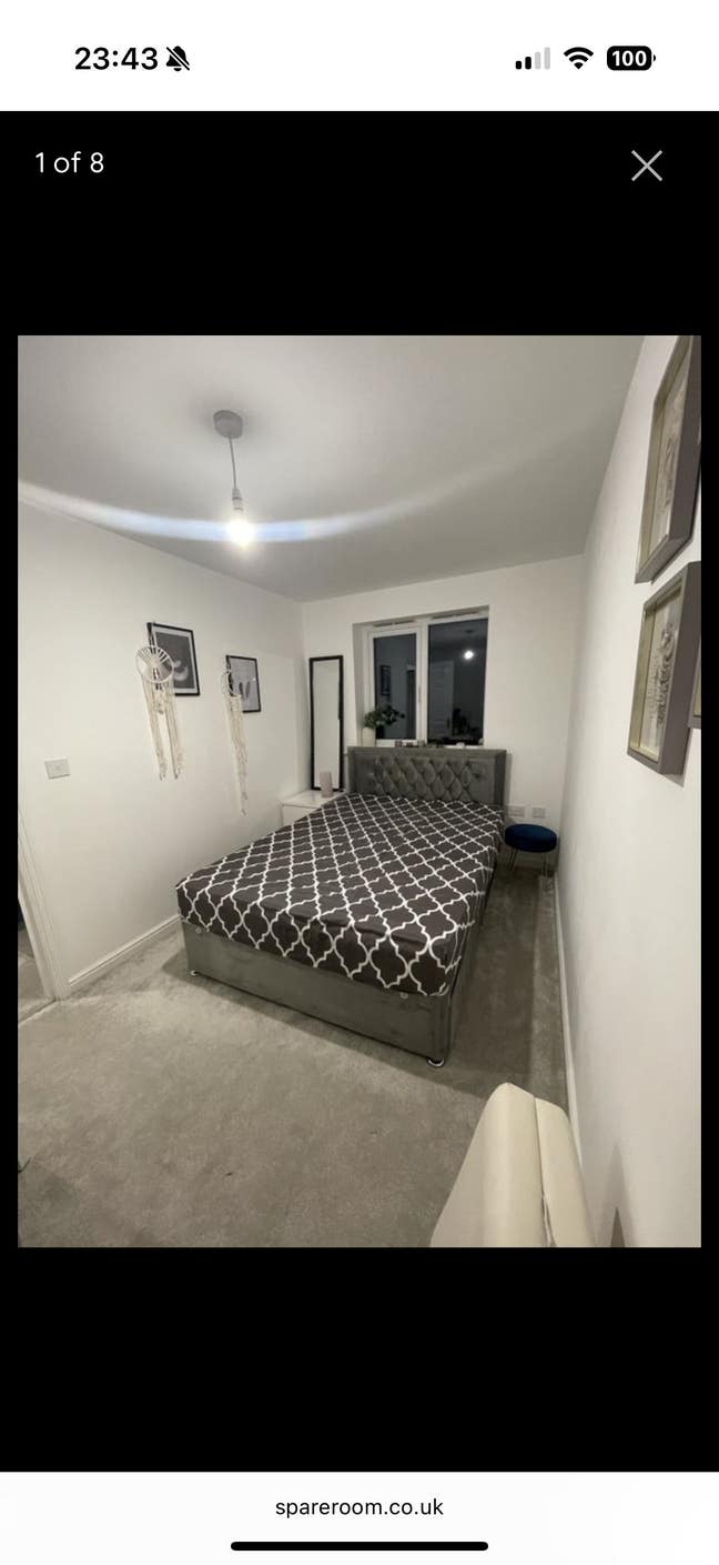 Whole House Available with Room to Rent  Main Photo