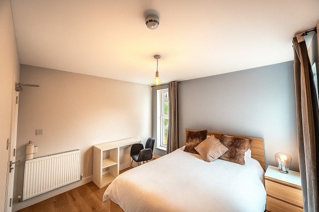 Brand New Room! ✨ All Bills Included ✨ Main Photo