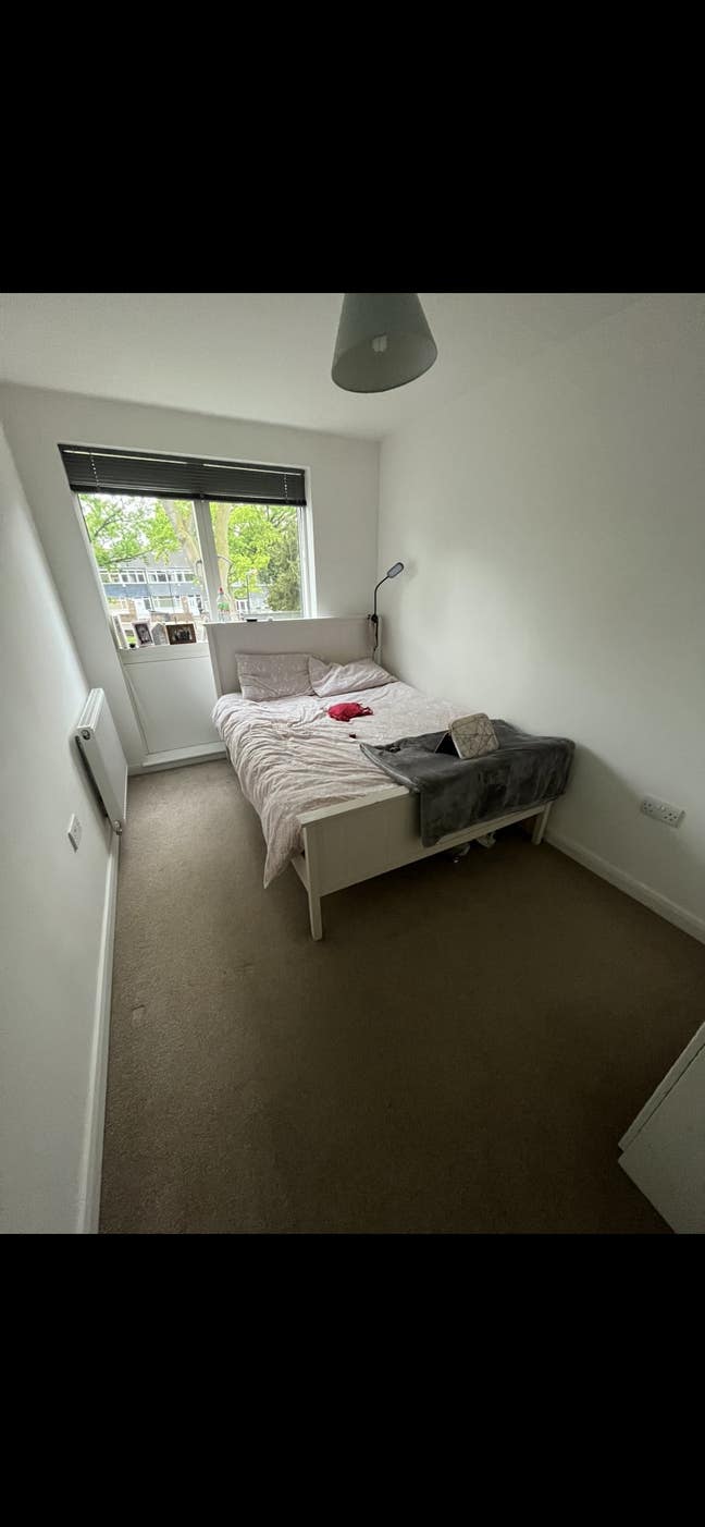 Double room in Balham Main Photo