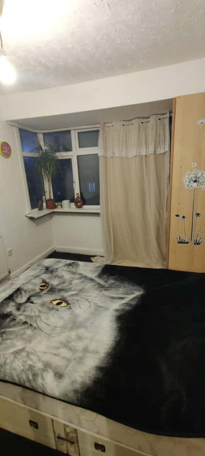 Double room  Main Photo