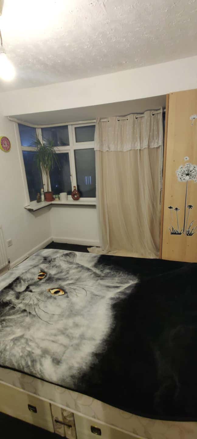 Double room  Main Photo