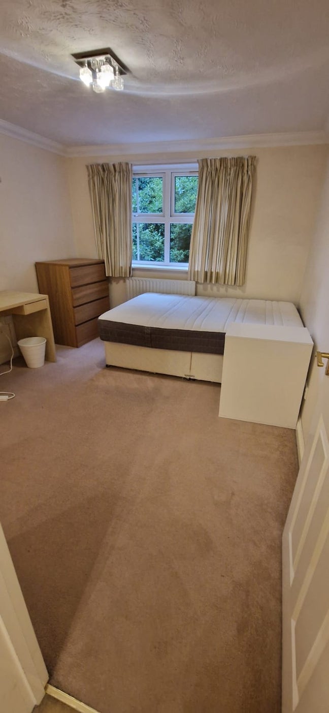 Room (/whole flat) to rent-2 mins from University Main Photo