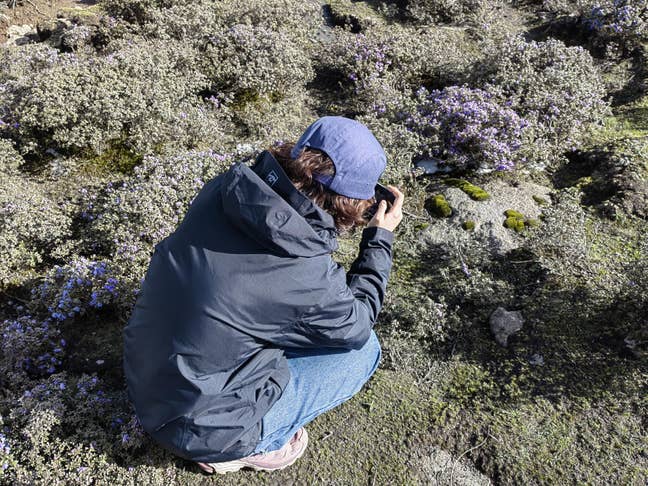 Seeking Clean & Cozy Place Near UCA Farnham Main Photo