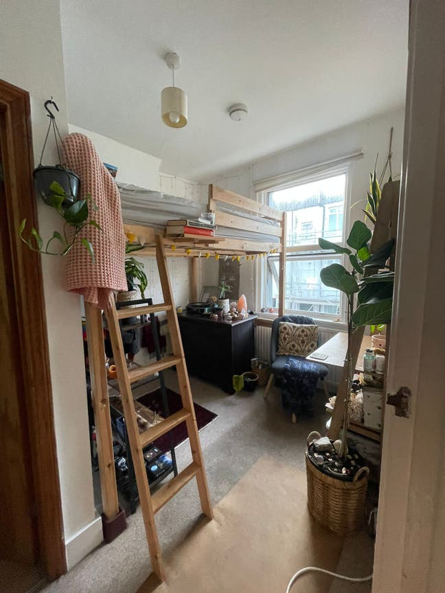 2 cozy rooms available in friendly Hanover house Main Photo