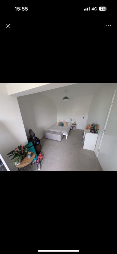 Spacious bedroom available to rent!  Main Photo