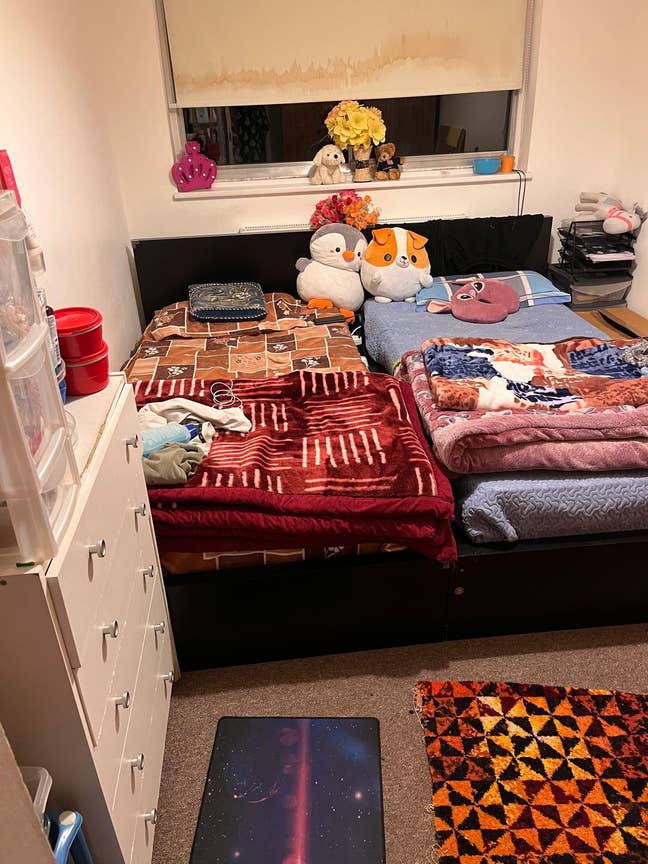 Double room available  Main Photo