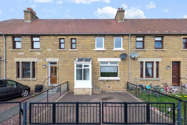 Cat-friendly lodger wanted! Main Photo