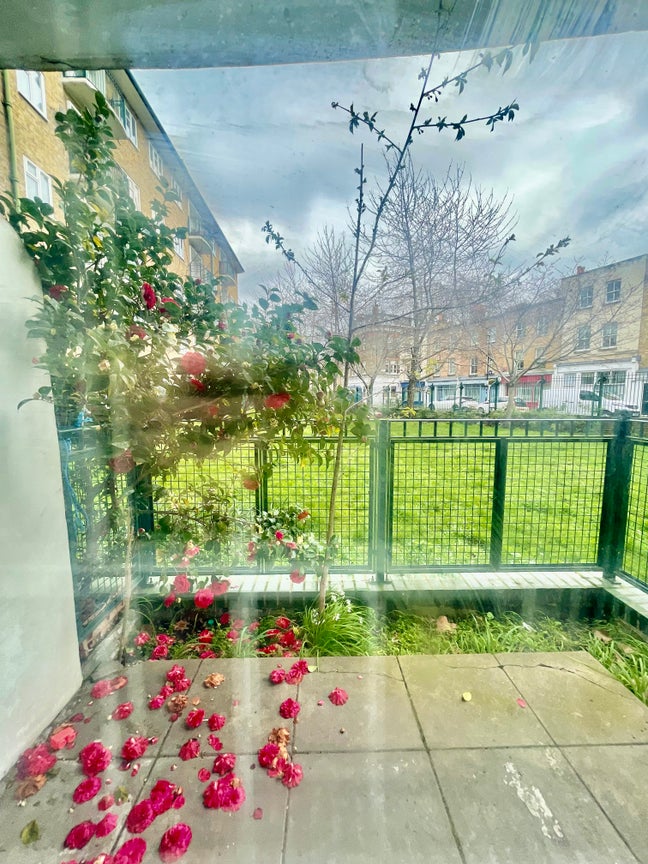 3 Amazing rooms near Waterloo-London Eye Main Photo