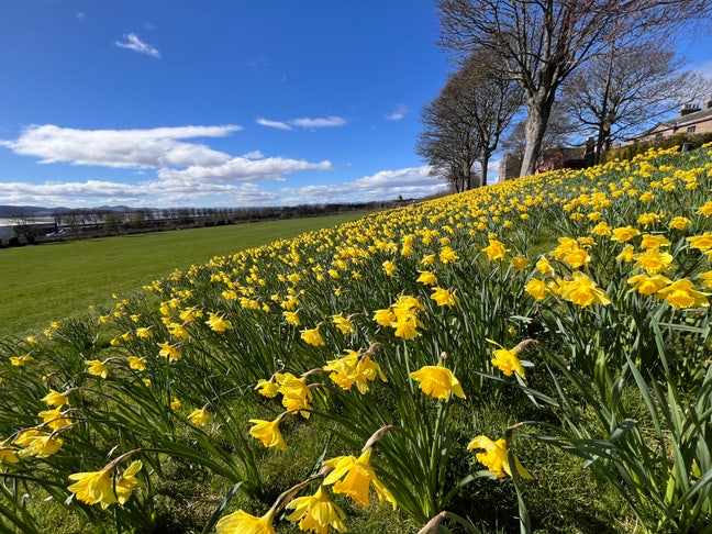 Tranquil room in Magdalen Green house - no bills  Main Photo
