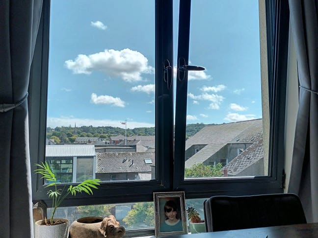 Mature lodger or postgrad - shared Holywood flat Main Photo