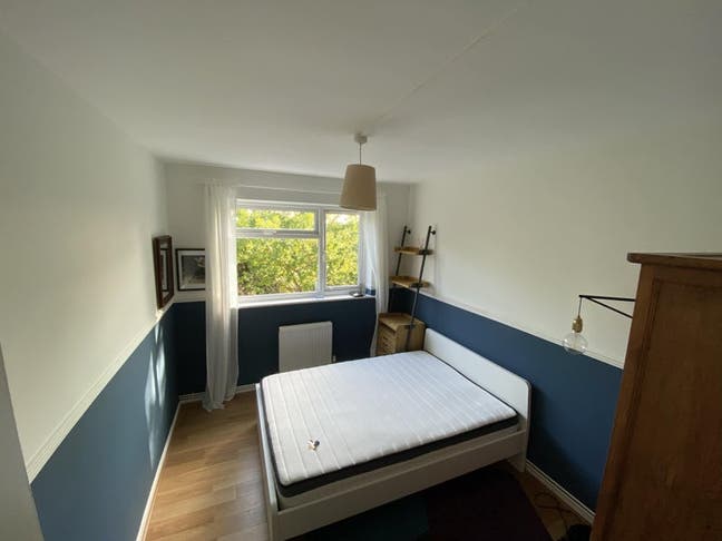 Quiet Tree-Top Room on Sydenham Hill 🌳🌳 Main Photo
