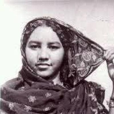 I am a femaleI professional, looking for a st... Main Photo