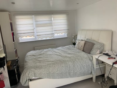 Ensuite double bedroom for female professionals  Main Photo