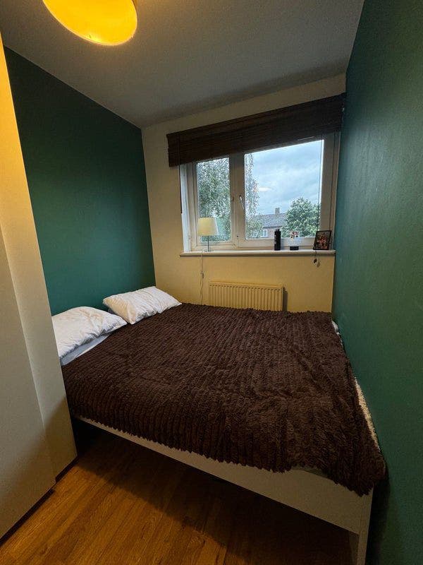 Small but cosy room in Battersea area Main Photo