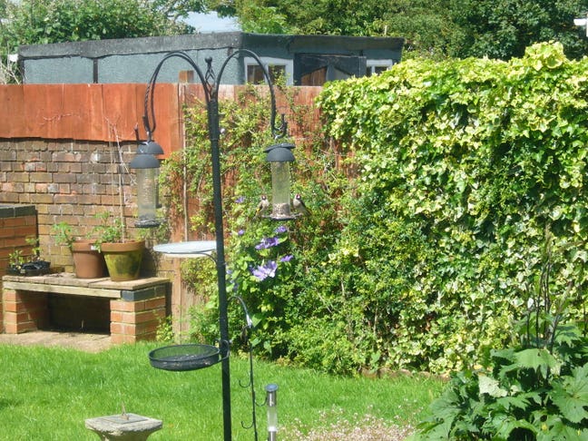 Friendly house share Main Photo