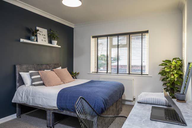⭐️ Luxury professional shared living ⭐️  Main Photo