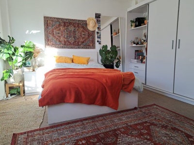 Female Professional Preferred   Main Photo