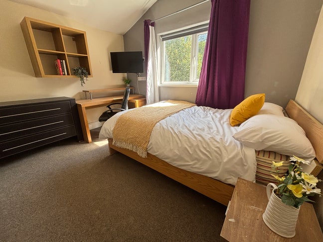 **University Location** Available Immediately Main Photo