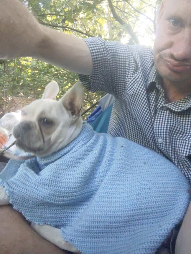 33yo male professional with support dog Main Photo