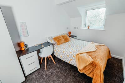 Ready to Move-in Now! Student & Professional Rooms Main Photo