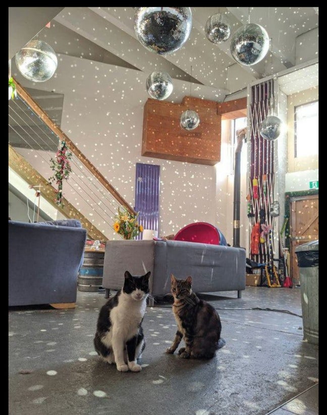 HUGE room in beautiful creative warehouse communit Main Photo