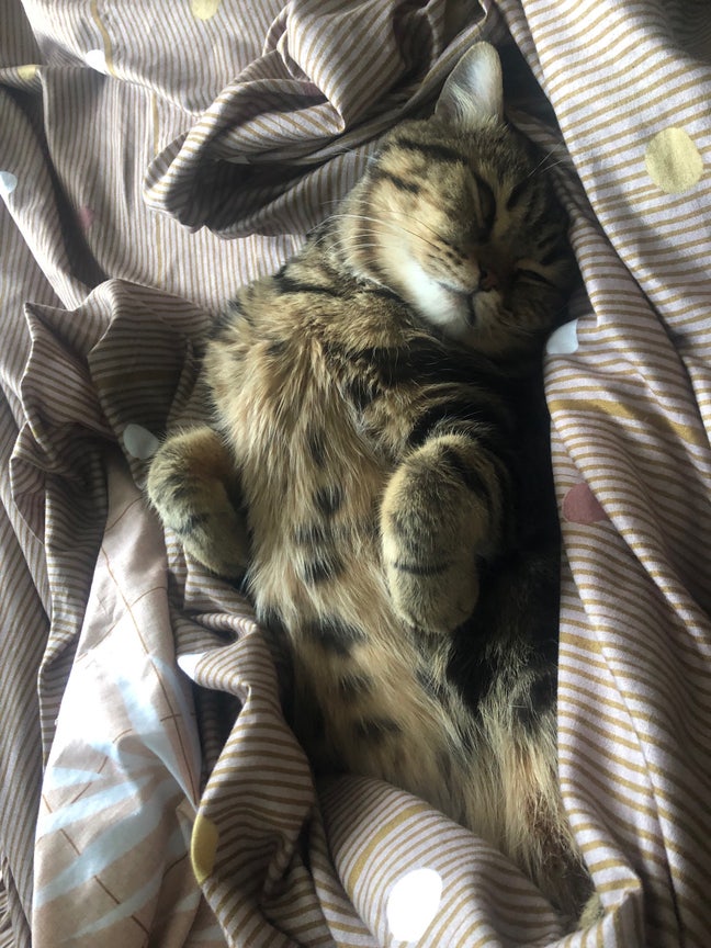 Reliable, respectful and very clean🎉 Main Photo