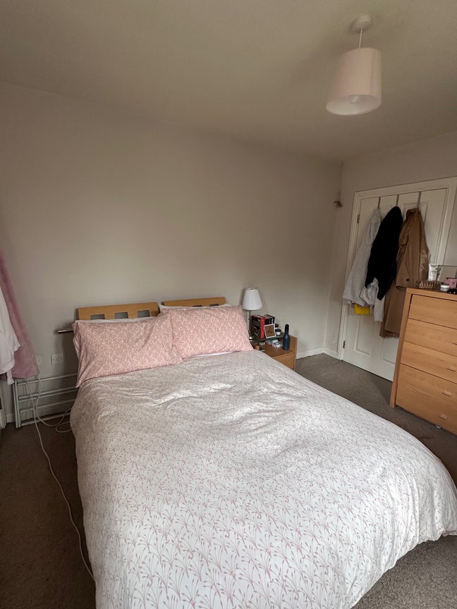 Double bedroom available Ormeau Road Main Photo