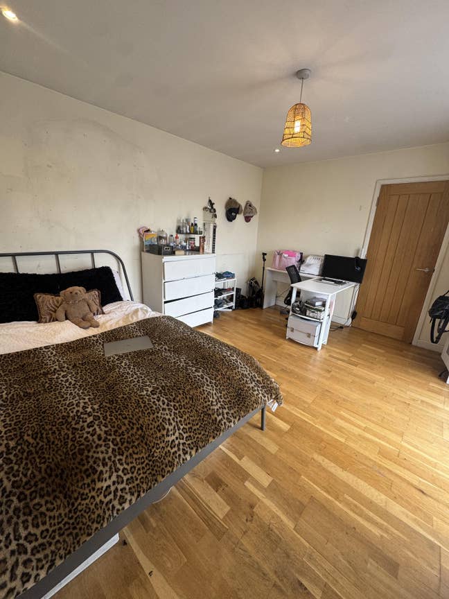 Large double room in 2 bed flat Main Photo
