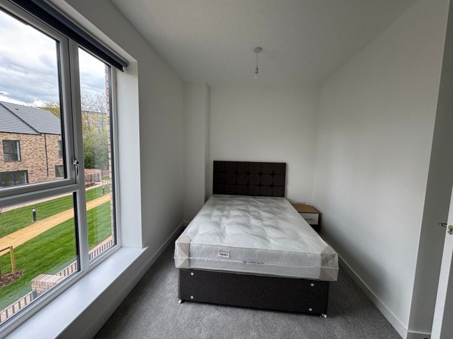 One bed in a 3 bedroom house  Main Photo