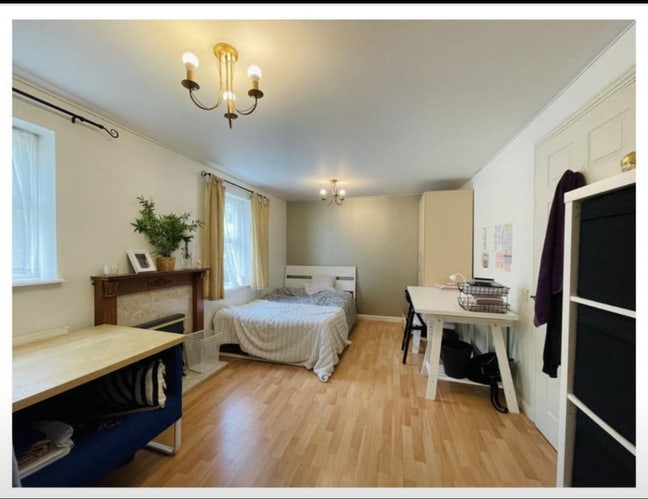 Extra Large Furnished Room Main Photo