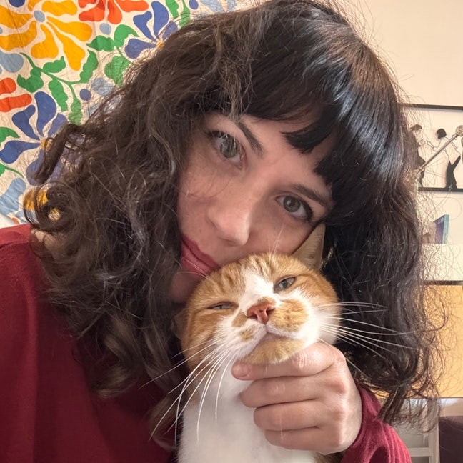 Looking for a room in a 2 bed flat 🙋🏻‍♀️🐈 Main Photo