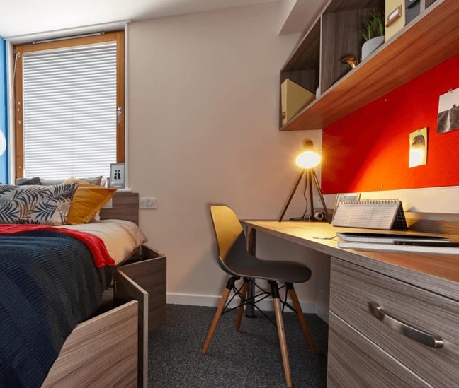 Student room available in Central London. Main Photo