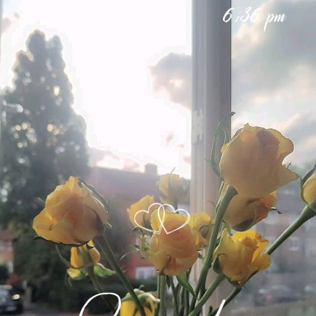 Room wanted  Main Photo