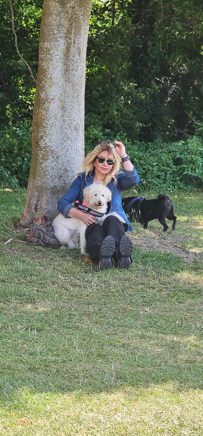 Professional Female seeks a single or double room Main Photo