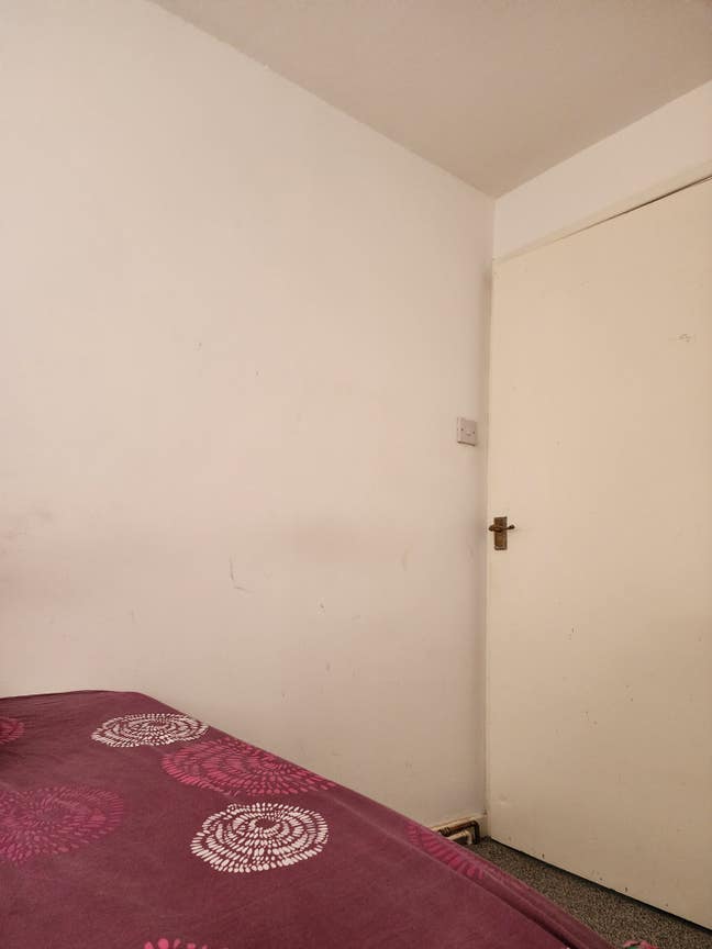 Single room for rent- No deposit  Main Photo