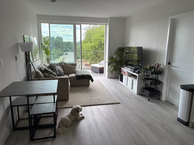 Double bedroom & bathroom available in Kidbrooke Main Photo