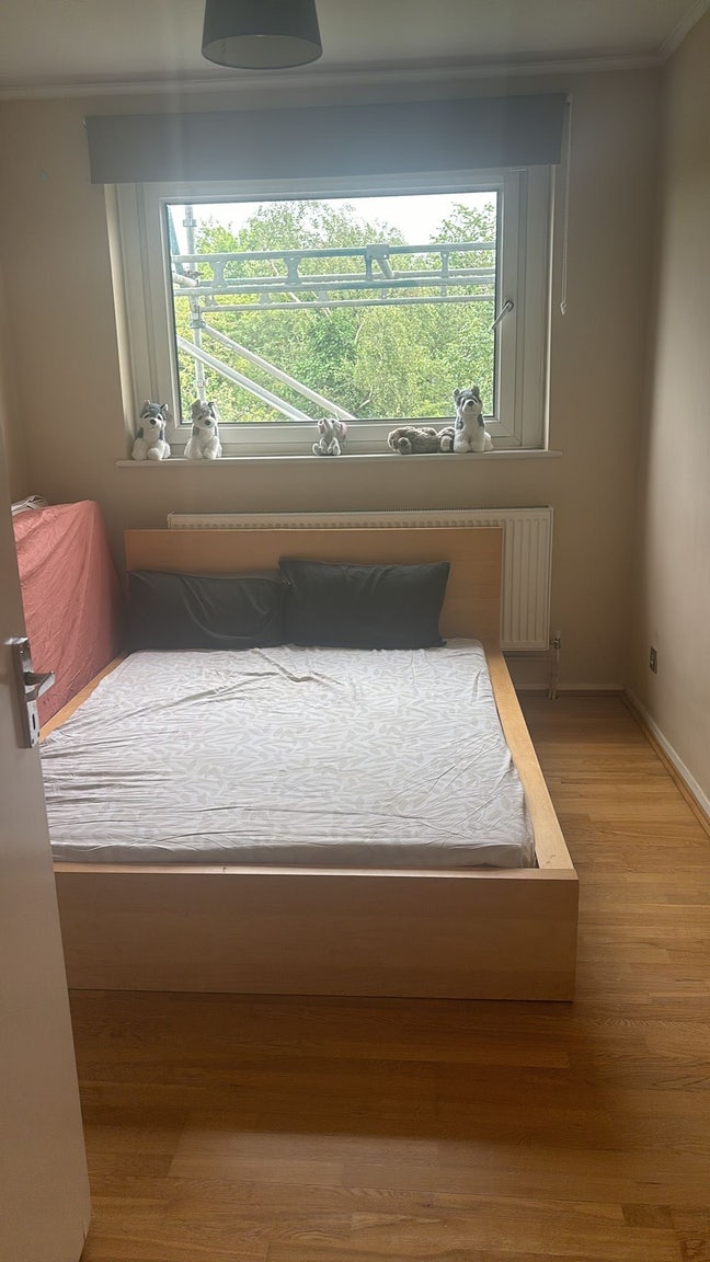 Double room available Main Photo