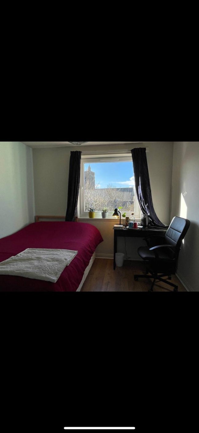 Looking for a Female Flatmate – En-Suite Room, Veg Main Photo