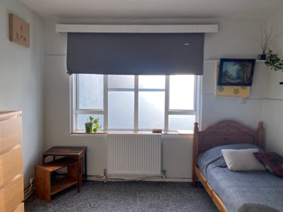 Room for rent  Main Photo