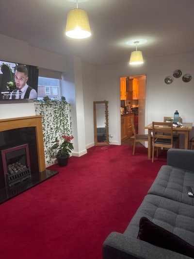 Professional house Main Photo