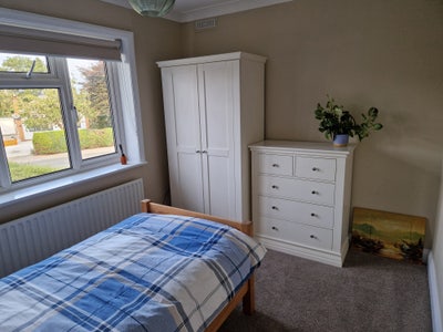 Spacious furnished single room. Main Photo