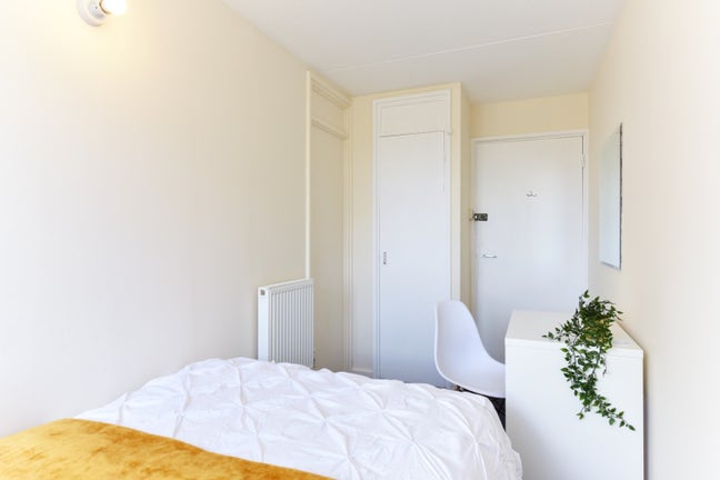 Spacious Room in Pimlico Main Photo